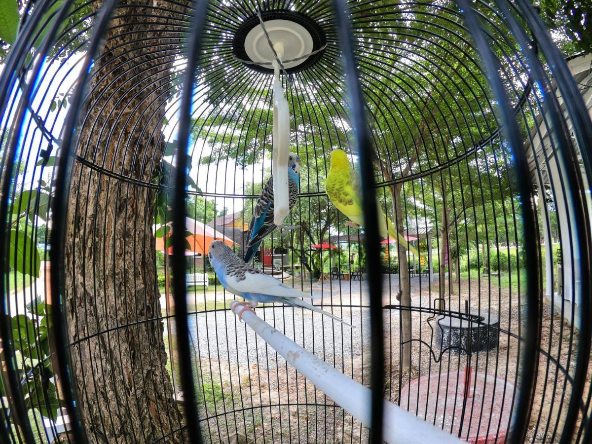 纳拉查度假村 芒考 外观 照片
