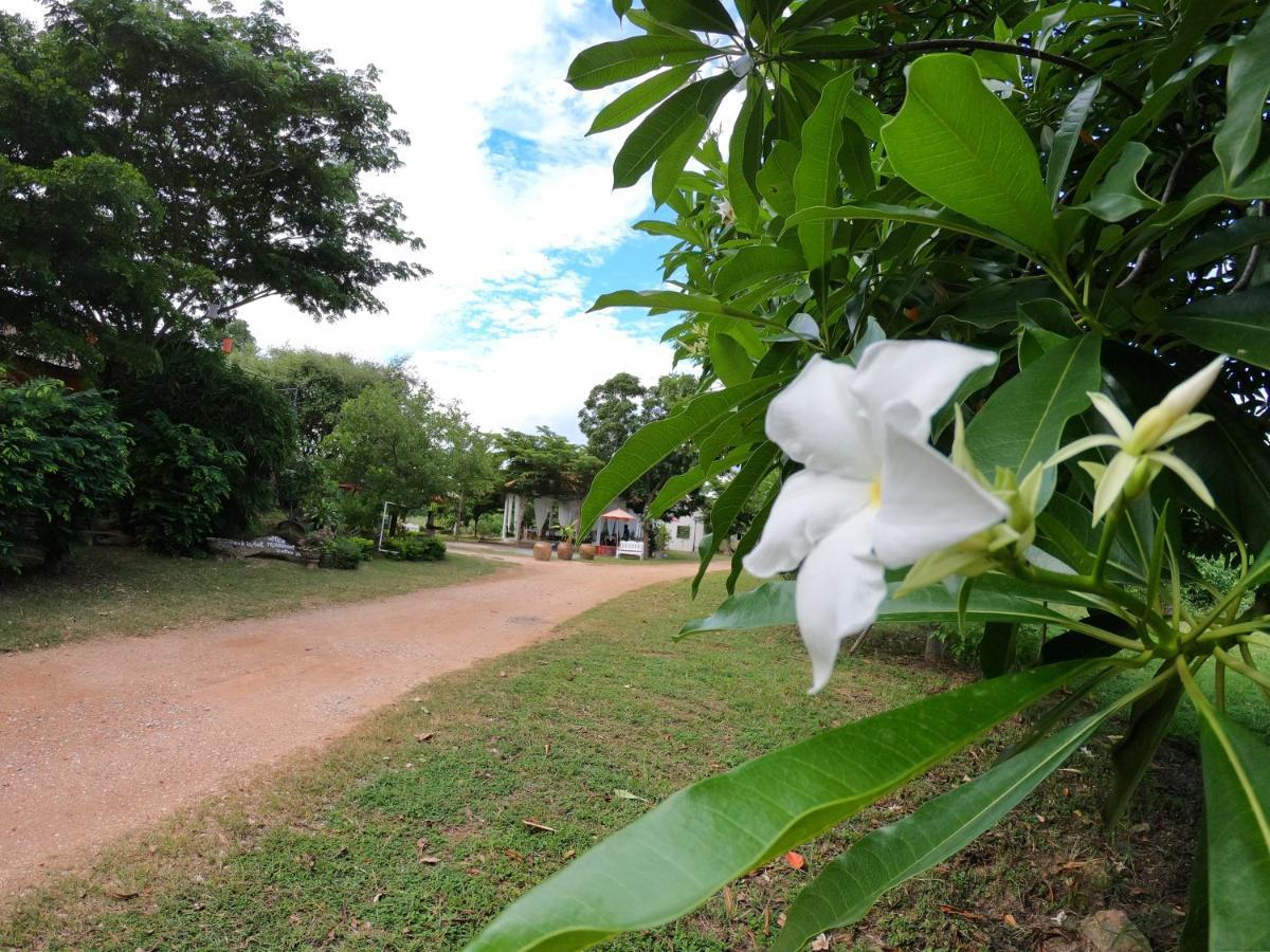 纳拉查度假村 芒考 外观 照片