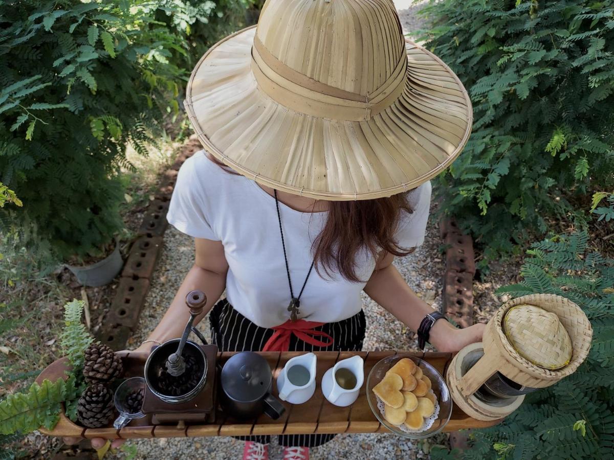 纳拉查度假村 芒考 外观 照片